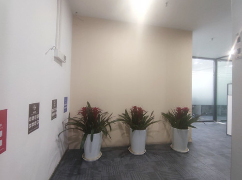 普陀区武宁路的上海办公室出租房可按照需求配置家具隔断