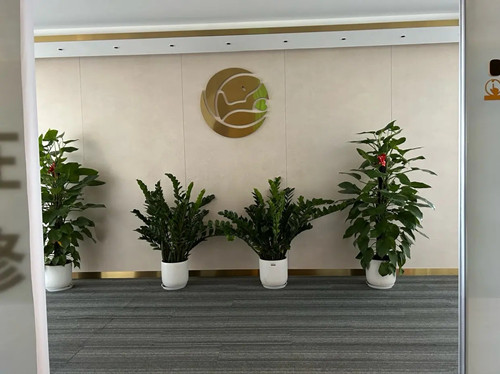 绿地控股集团出品好房，北京写字楼中介代理公司正常合作