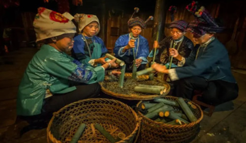 免费入场！黄浦江畔闪现云南：100家当地品牌，千余种特色产品，官方羊毛来薅，篝火竹竿舞来跳！