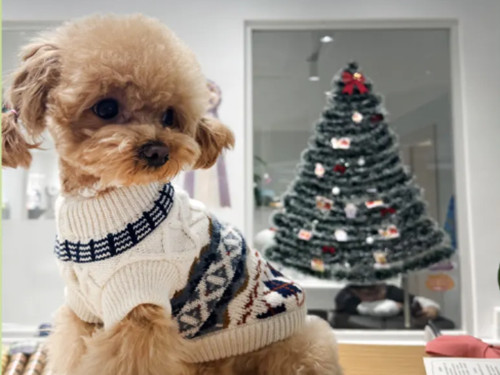 星瀚广场新“萌”点|毛友记：毛孩子的精致驿站正式入驻星扬西岸中心